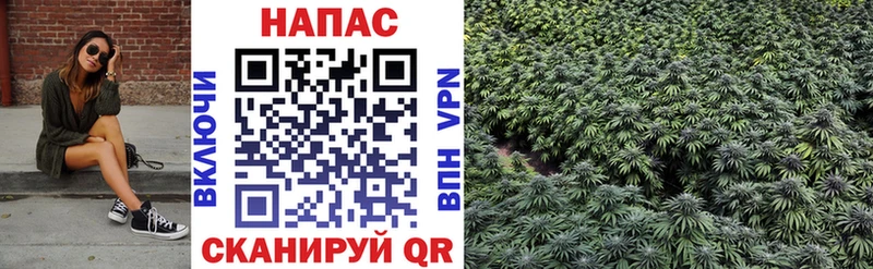 OMG ONION  Алушта  МАРИХУАНА марихуана 